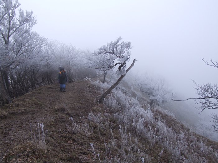 DSCF7645.JPG
