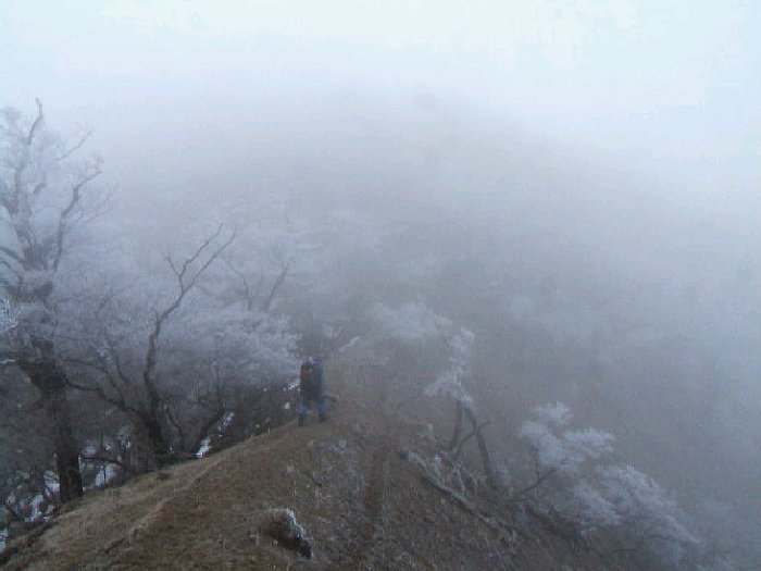 DSCF7648.AVI