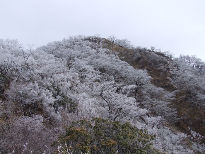 DSCF7671.JPG