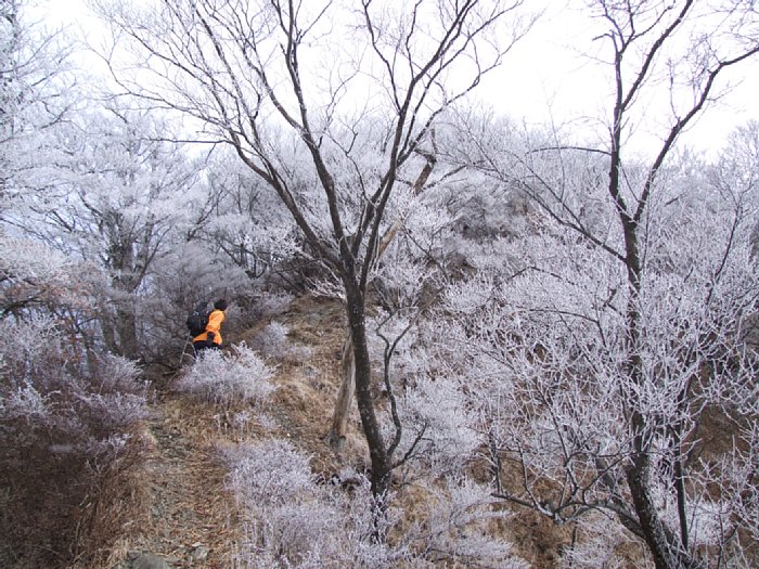DSCF7680.JPG