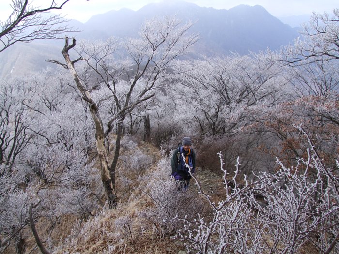 DSCF7682.JPG