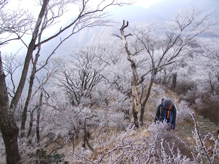 DSCF7684.JPG