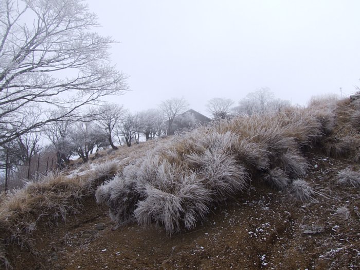 DSCF7713.JPG