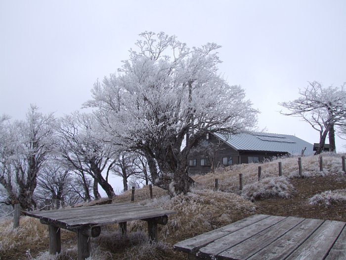 DSCF7718.JPG