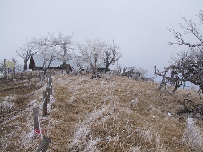 DSCF7722.JPG