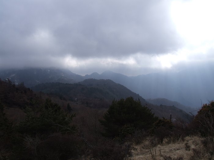 DSCF7731.JPG