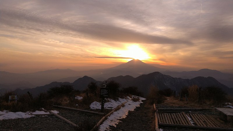 DSC_1462.JPG