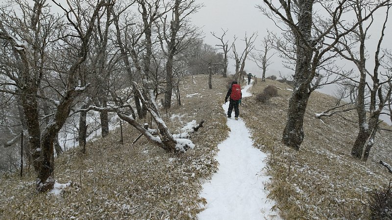DSC_1476.JPG