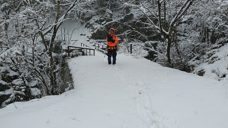 DSC_1496.JPG