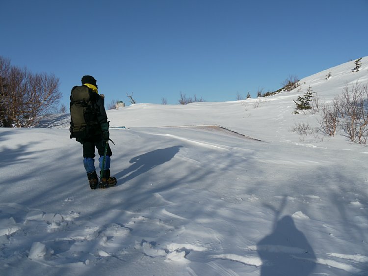 P1000370.jpg