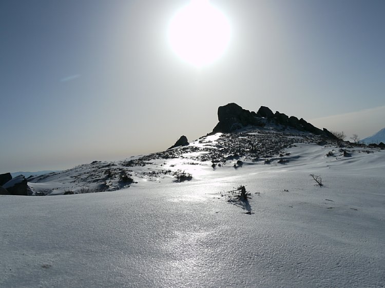 P1000382.jpg