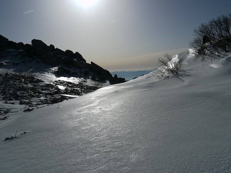 P1000398.jpg