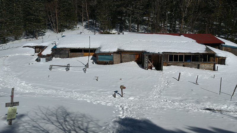 DSC_1512.JPG