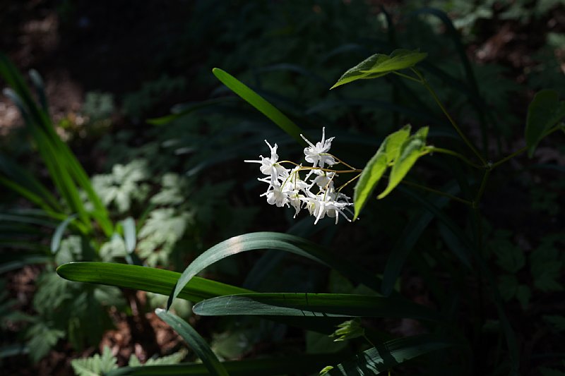 DSC04757.JPG