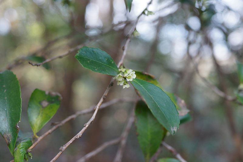 DSC04761.JPG