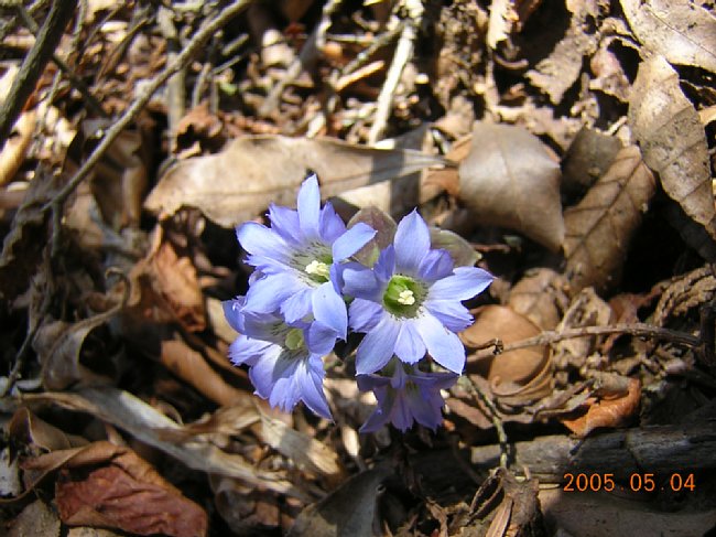 DSCN1910.JPG