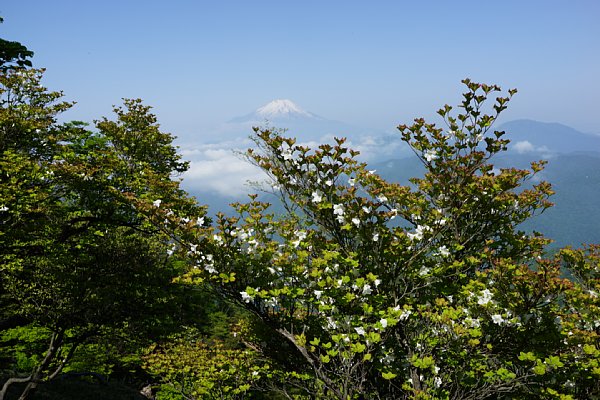 DSC01231.JPG