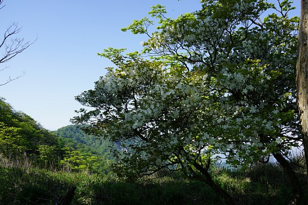DSC01237.JPG