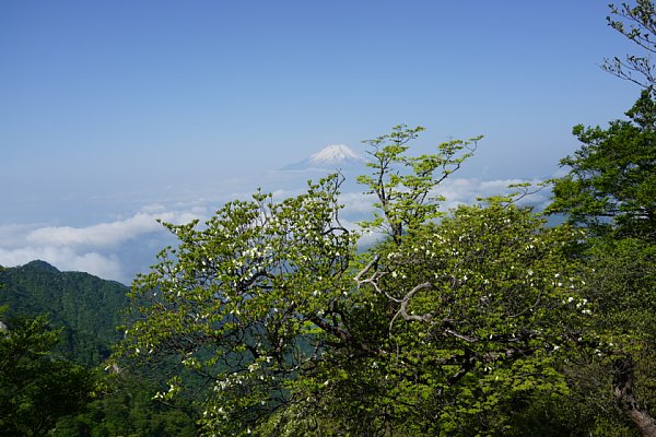 DSC01244.JPG