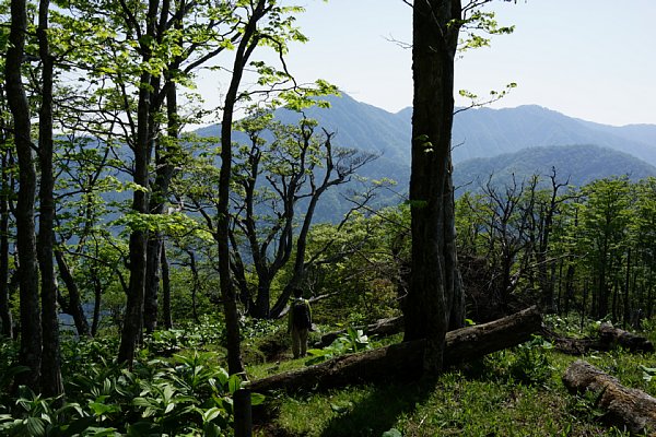 DSC01252.JPG