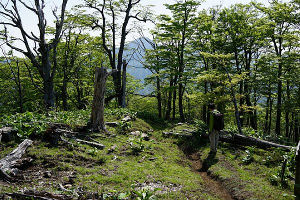DSC01256.JPG