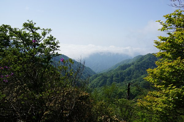 DSC01260.JPG