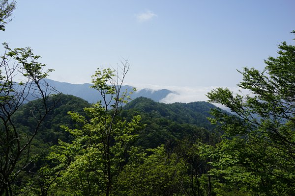 DSC01263.JPG