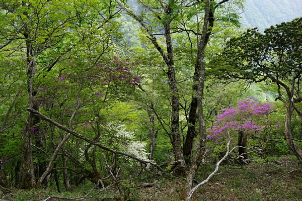 DSC01268.JPG