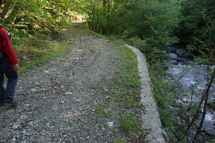 DSC01136.JPG