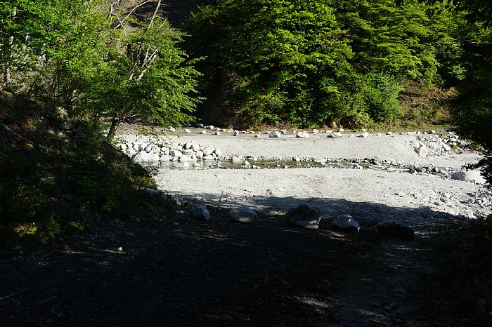 DSC01141.JPG