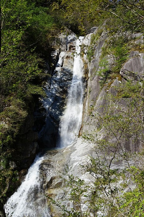 DSC01144.JPG