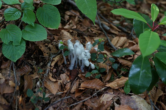dsc08469.jpg