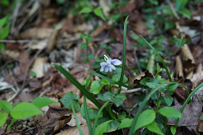 dsc08471.jpg