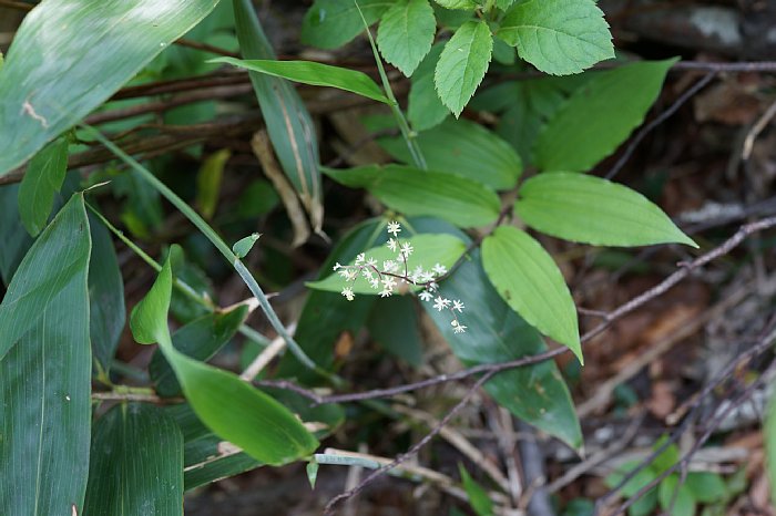 dsc08472.jpg