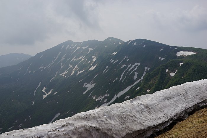 dsc08486.jpg