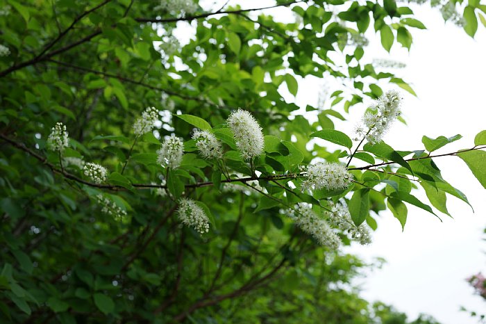 dsc08549.jpg