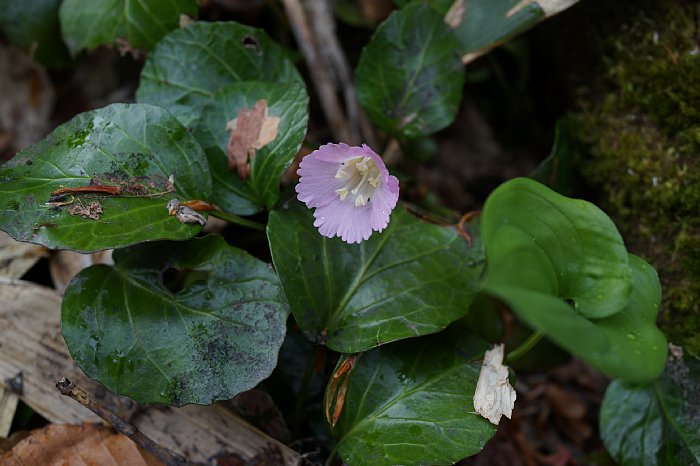 dsc08551.jpg