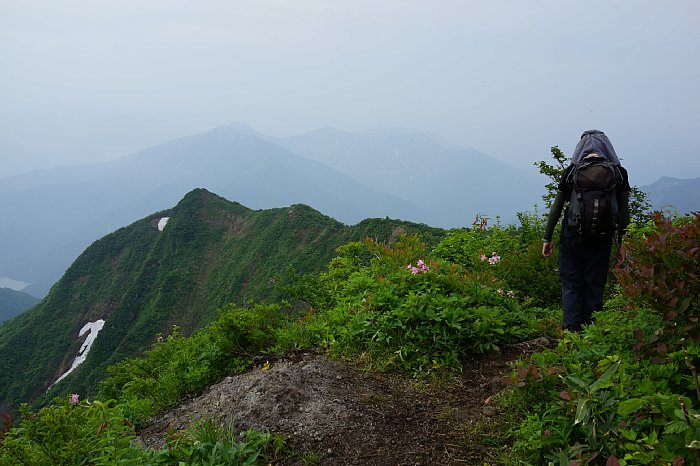 dsc08562.jpg