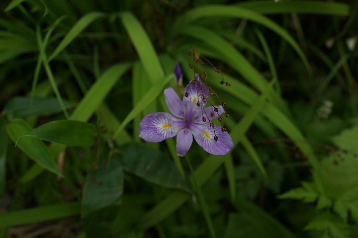 DSC00002.JPG
