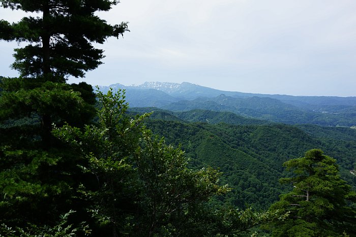 DSC09954.JPG