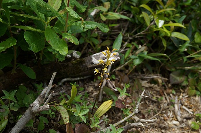 DSC09966.JPG