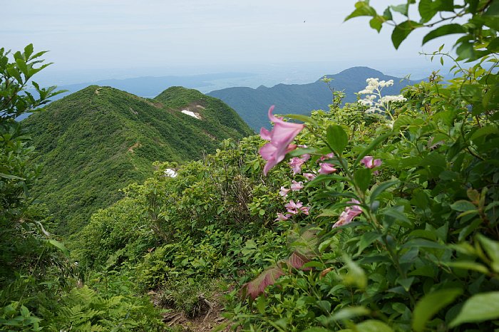 DSC09972.JPG