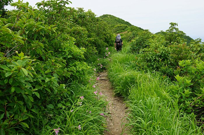 DSC09977.JPG