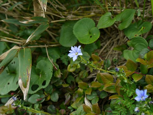 P1010311.JPG
