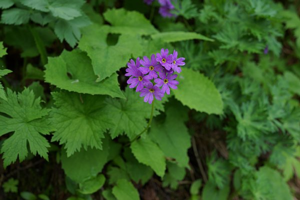 DSC03748.JPG
