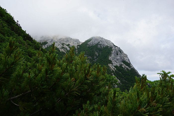 dsc08637.JPG