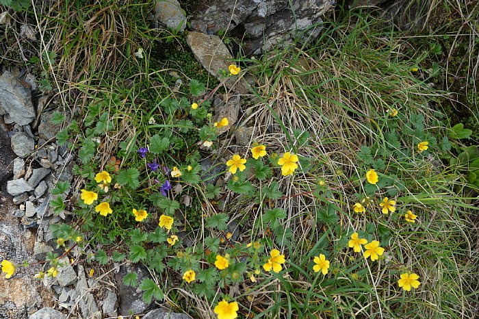 dsc08665.JPG