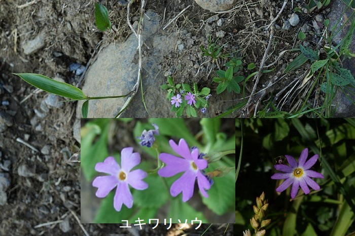 dsc08575.JPG