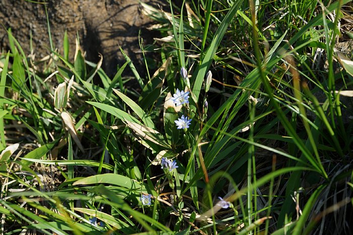 dsc08577.JPG