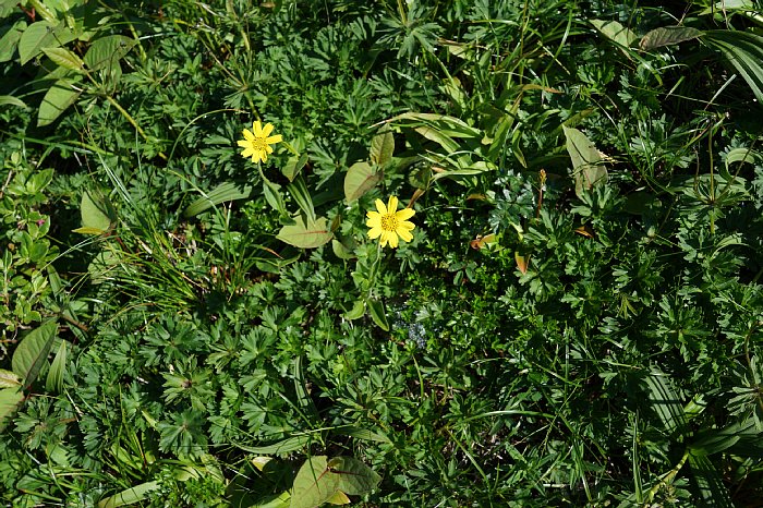 dsc08594.JPG